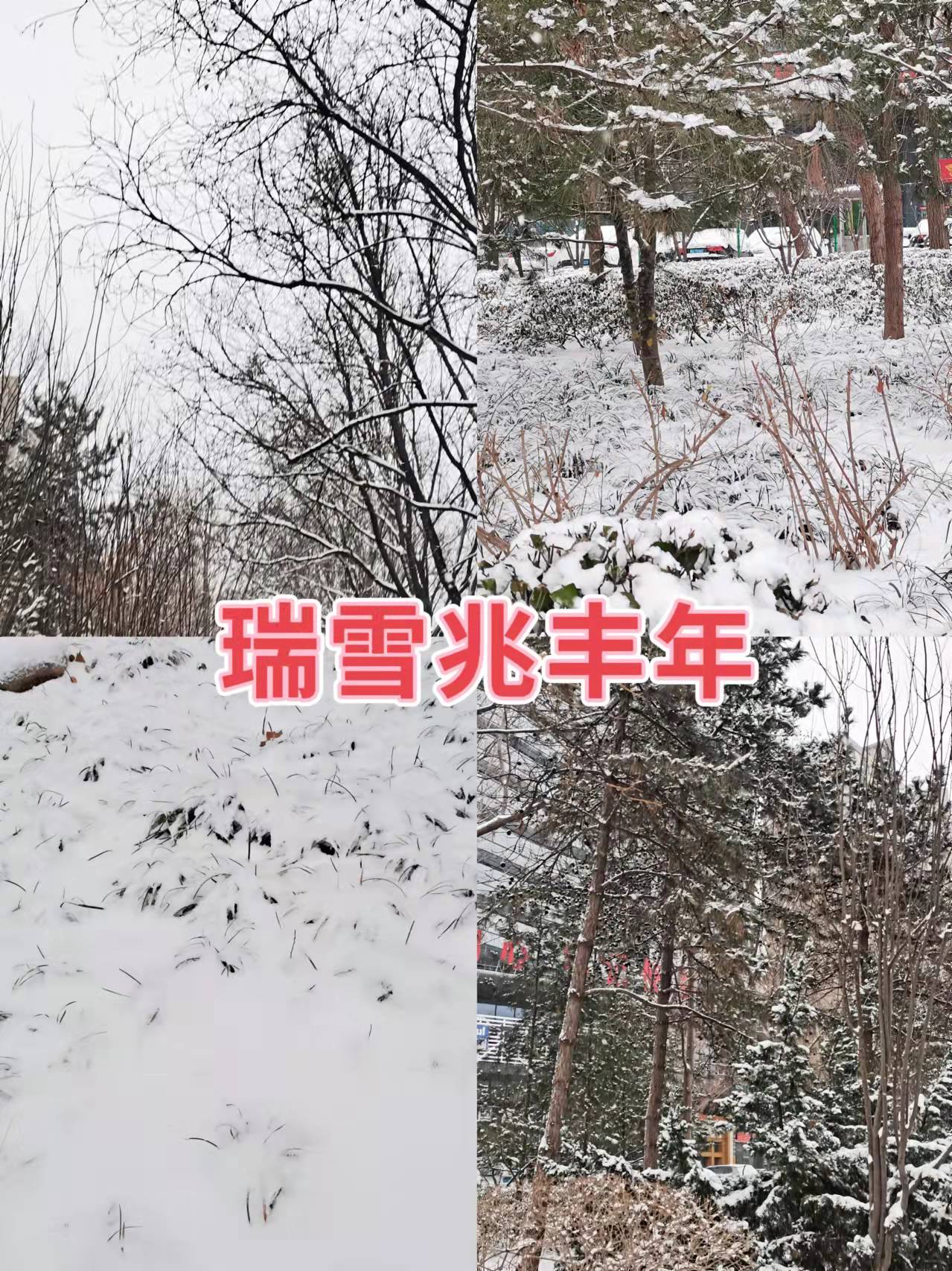 微信圖片_20211224123430.jpg 微信圖片_20211224123430.jpg